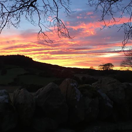 Slievemoyle CottagesRaholp エクステリア 写真