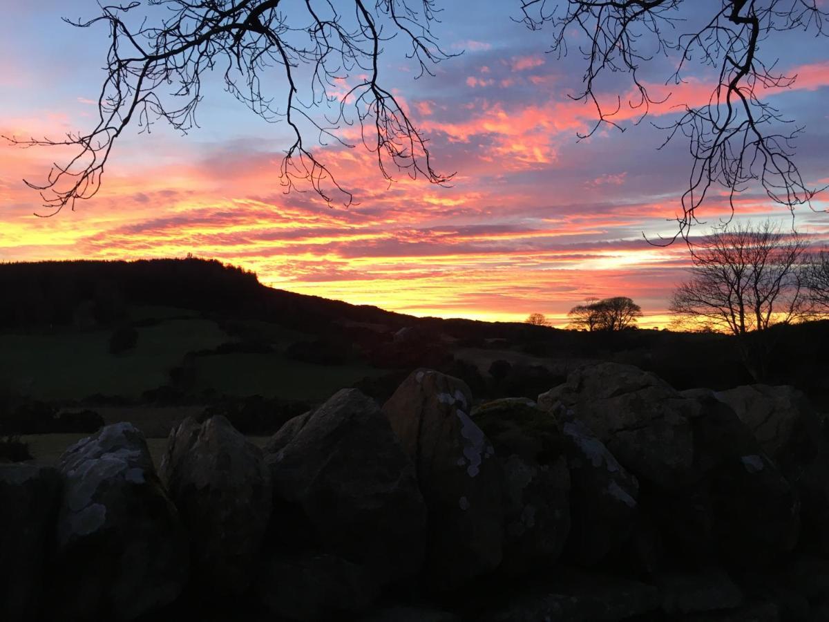 Slievemoyle CottagesRaholp エクステリア 写真